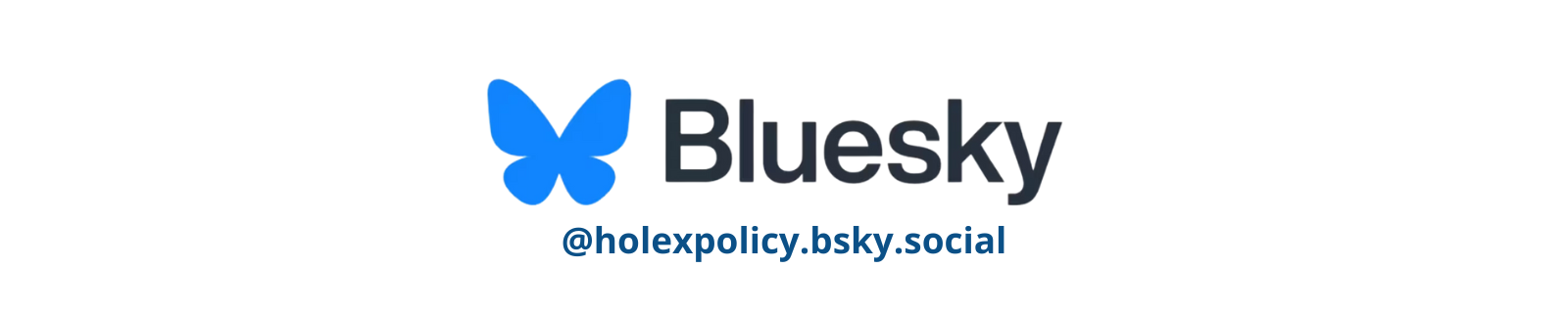 HOLEX Bsky (1600 x 320 px)